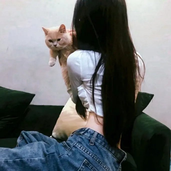 衰鬼抓狂